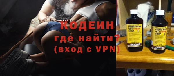 индика Абаза