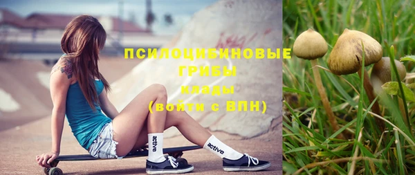 индика Абаза
