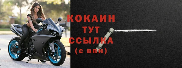 индика Абаза