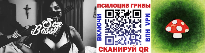 Псилоцибиновые грибы мухоморы  даркнет сайт  Черкесск 